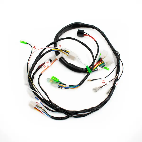 Boxer Ct 2020 Luz Directa